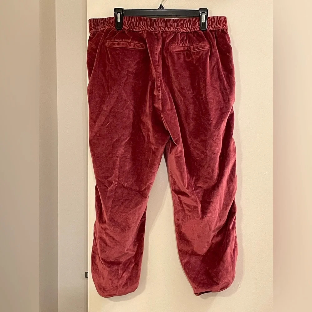 MADEWELL NWOT Track‎ Trousers in Velvet - Picture 7 of 12